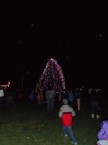Tree Lighting 2012